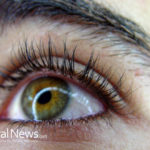 Eyebrows & Eyelashes – Little hairs with a big job