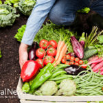 10 Easy Ways To Eat Organic Food Without Breaking The Bank