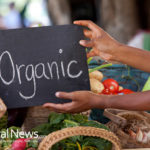 5 Foods You Should Always Buy Organic