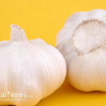 Raw Garlic: Fight Like One Man Army For Reversing 8 Major Disease