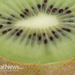 Golden Kiwi Fruit- Decrease Macular Degeneration, Prevents DNA Damage And Cure Diabetes