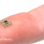 Microchipped Population