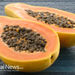 Papaya Seeds Detoxify Liver & Kidneys, fights Cancer and helps with Digestion