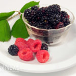Raspberries prevent cancer, diabetes, obesity, and arthritis!