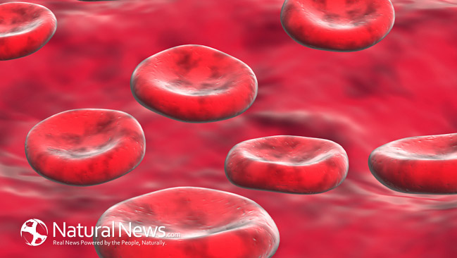 Anemia – Red blood cell’s enemy thumbnail