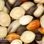 Go Nuts For Seeds: 8 Types to Eat More Often