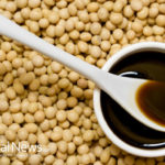 Organic Soy: Diverse protein source