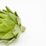 Artichoke – How Does This Green Food Contribute to Weight Loss?