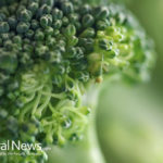 Broccoli & Cauliflower – Vegetables our body can use