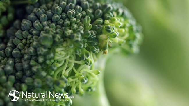 Broccoli & Cauliflower – Vegetables our body can use thumbnail