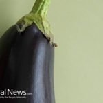 Eggplants natural medicine that sometimes can cause allergy