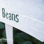 “Wellnessman” Endorses Beans as an Appetizer