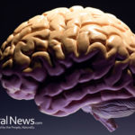 Blood Sugar Related Brain Shrinkage a Risk, Even for Non-Diabetics