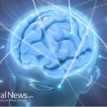 Neuroplasticity; Improving Brain Function with Chiropractic Care