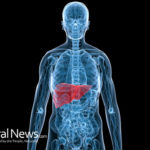 Trouble Losing Weight? Low Energy? Liver Toxicity May Be The Cause