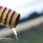 Honey-Ginger Combination Treats Bacterial Infection