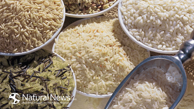 Brown Rice vs White Rice – Who wins the grain award? thumbnail