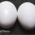 Is it OK to eat eggshells? Studies show that powdered eggshells can increase calcium absorption
