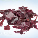 Studies Show That Dulse Is a Great Source of Nutrients and Antioxidants