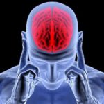 7 Functional Foods That Reduce Brain Inflammation & Clear Brain Fog