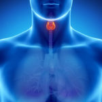 January is “Thyroid Disease Awareness Month”
