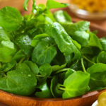 Watercress, the medicinal use of a salad vegetable