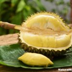 Incredibly Nutritious Fruit – Durian