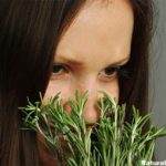 Sniffing Rosemary Can Improve Memory By 75%