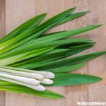 Benefits of Lemongrass – What Might Surprise You