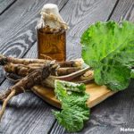 Burdock Root Nutrition Facts and Health Benefits