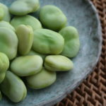 Fava Beans – The Overlooked, Gluten Free Superfood